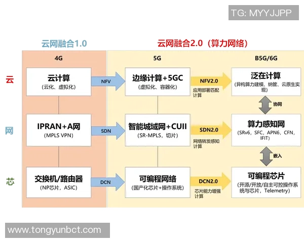 成都攀岩队状态分析与未来发展展望的深度探讨
