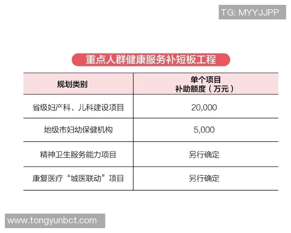 深圳乒乓球队战术解析：构建高效控制体系的策略与实践