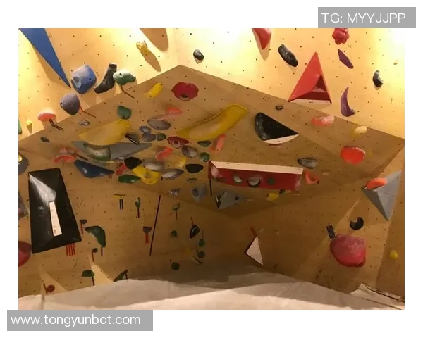 深圳攀岩队快攻策略分析与成败经验分享